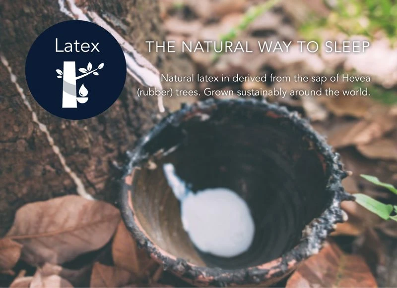 Dunlopillo Sovereign Adjustable Bed Mattress